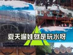 -呀路古热带植物园