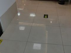 -北京观赏动物医院·24小时大型综合·猫专科·异宠专科