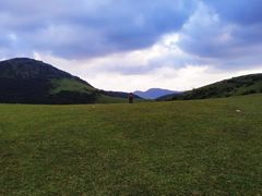 -大姆山草场