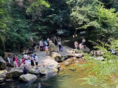 -少华山国家森林公园