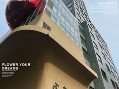 -云中小雅
