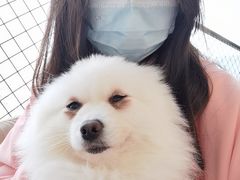 -怪兽屋·羊驼·猫咖·狗咖(俊华广场店)