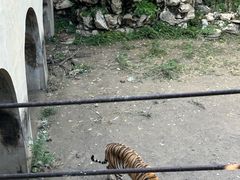 -保定市动物园