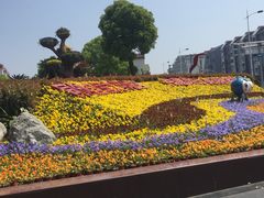 门面-七宝老街-闵行市民文化广场