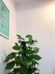 -时尚妈咪产后修复中心