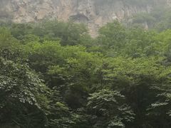 -陕西省红河谷森林公园