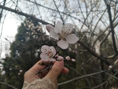 -森林公园(尖草坪区)