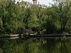 -黑龙江省森林植物园