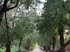 -北京市劳动人民文化宫(太庙)