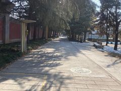 -法门文化景区