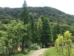 -广州市石门国家森林公园