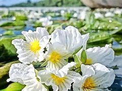 -丽江泸沽湖景区