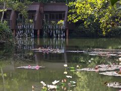 -野象谷景区