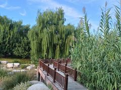-莲花池公园