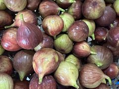 -马陆小张葡萄园农家乐