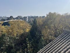 -外滩·云南人家(昆明旗舰店)