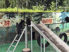 -西安秦岭野生动物园