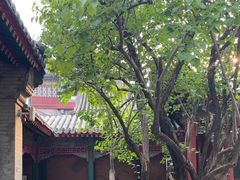 -宫事颐庭·老佛爷贵寿下午茶(颐和园店)