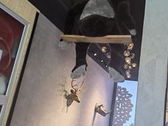-ZOO COFFEE动物园咖啡(望京锐创店)
