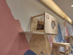 -滚猫咖啡·猫咖·猫友好撸猫(未来城店)
