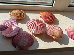 -圣罗巴海鲜烤肉自助(西城红场店)