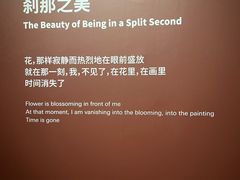 -知美术馆