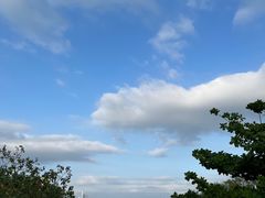 -深圳湾公园(南山区)