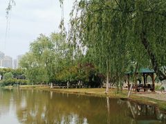 -滨湖塘西河公园