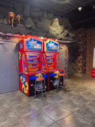 -卡通尼·Safari非洲探索乐园·生日会(金桥国际商业广场店)