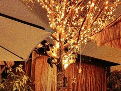 -后湖小院·乡野田园菜