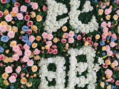 -苏记隐蔽地(吴井路店)