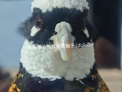 -青藏高原野生动物园
