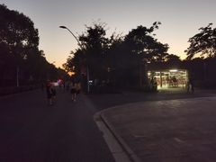 -自然谷恐龙园