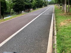 -艾溪湖湿地公园