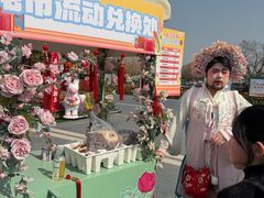 -荷兰花海