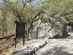 -阳台山自然风景区