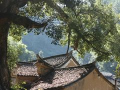 -杨家堂村