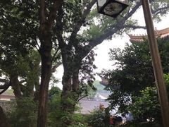 -普陀山慧济禅寺