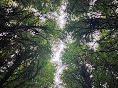 -捞渔河湿地公园