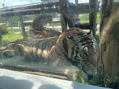 -西霞口神雕山野生动物世界