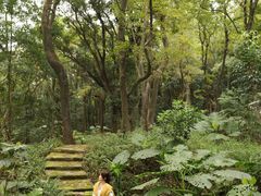 -广州市石门国家森林公园