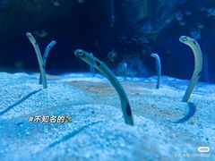 -海合安成都极地海洋公园