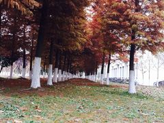 -苏州工学院(东湖校区)