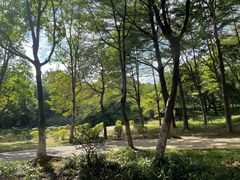 -天河儿童公园