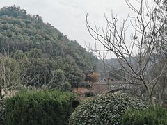 -桃花岭景区