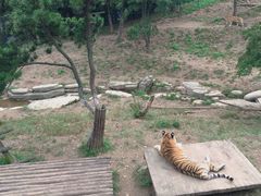 -大连森林动物园