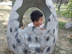 -原山国家森林公园