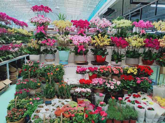 蟹岛国际花卉-"蟹岛里新开业的花卉市场,里面很宽敞,环境.