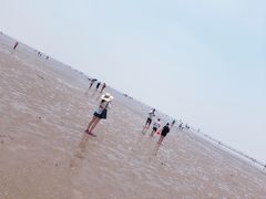 -碧海金沙