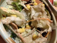 蔬菜沙拉-贵木日本料理·铁板烧(新地假日广场店)